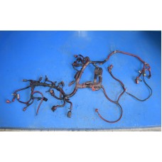 CUMMINS ISX ENGINE WIRING HARNESS CABLES RED SIDE ONLY - 7173